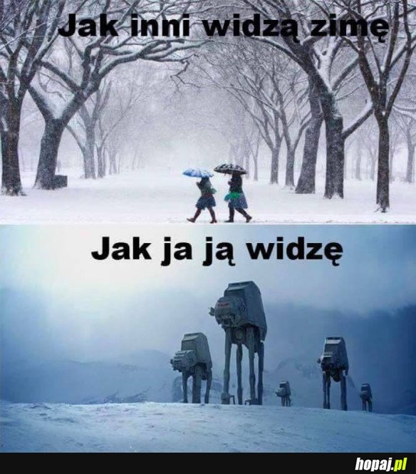 JAK WIDZĘ ZIMĘ