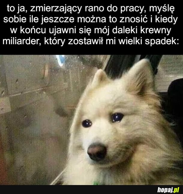 Ciężkie życie