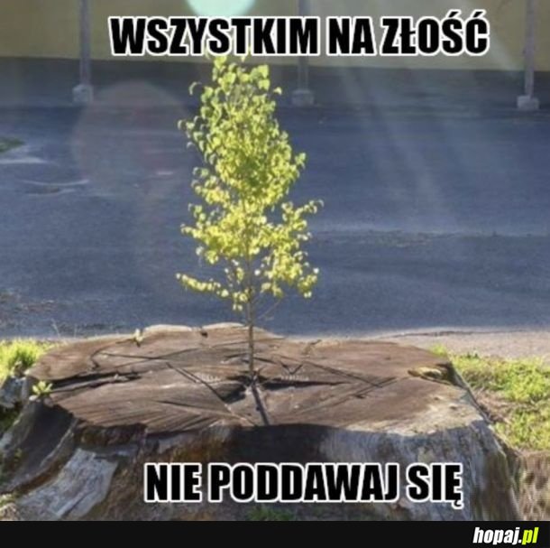 Nie poddawaj się