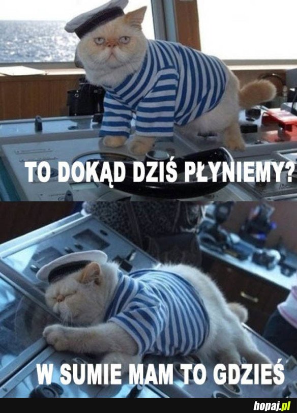 DOKĄD PŁYNIEMY