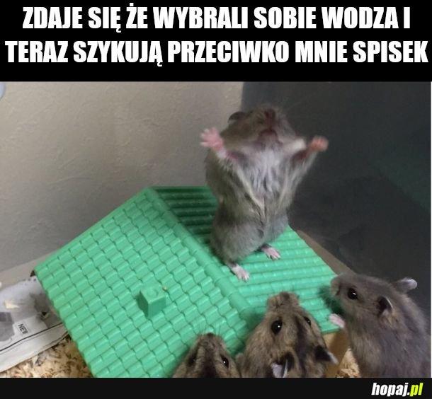 Wyklęęęty powstań ludu!
