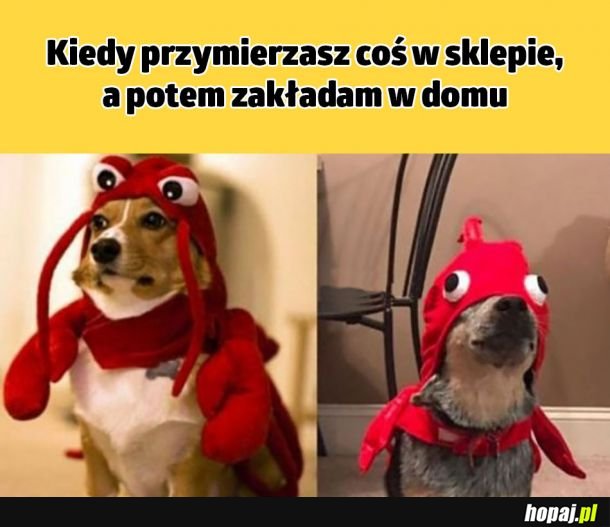  Przymierzanie w sklepie