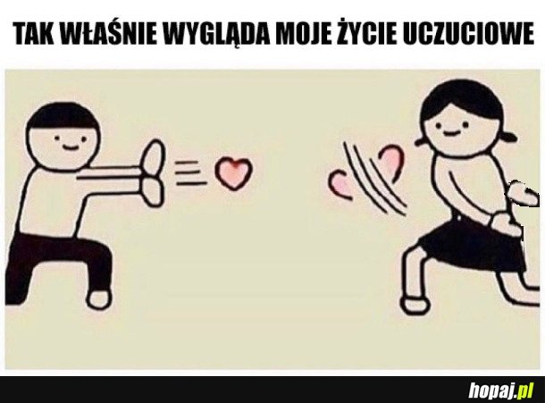 NIKT MNIE NIE KOCHA