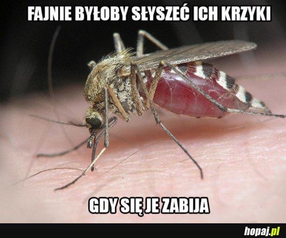 Byłoby fajnie