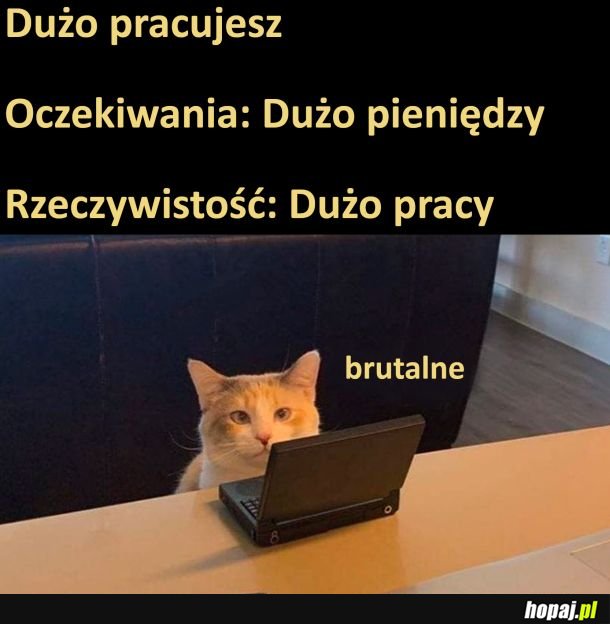 Rzeczywistość jest okropna