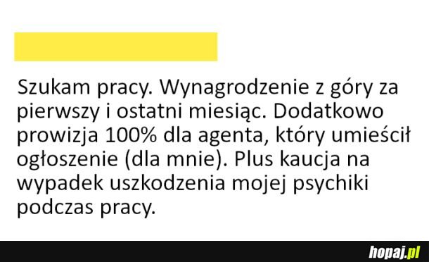 Szukam pracy