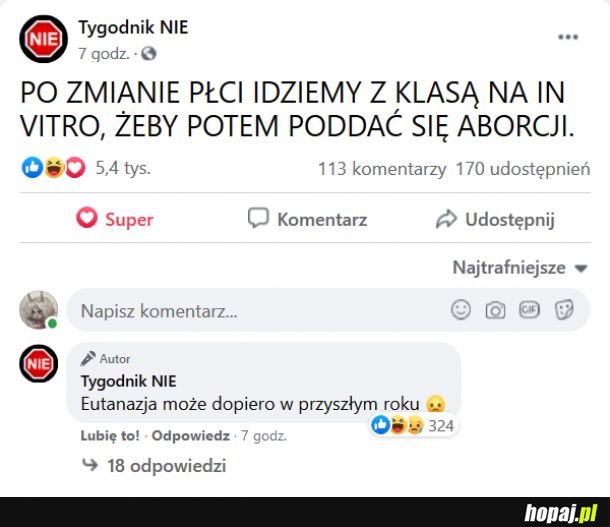 Plan na ten rok