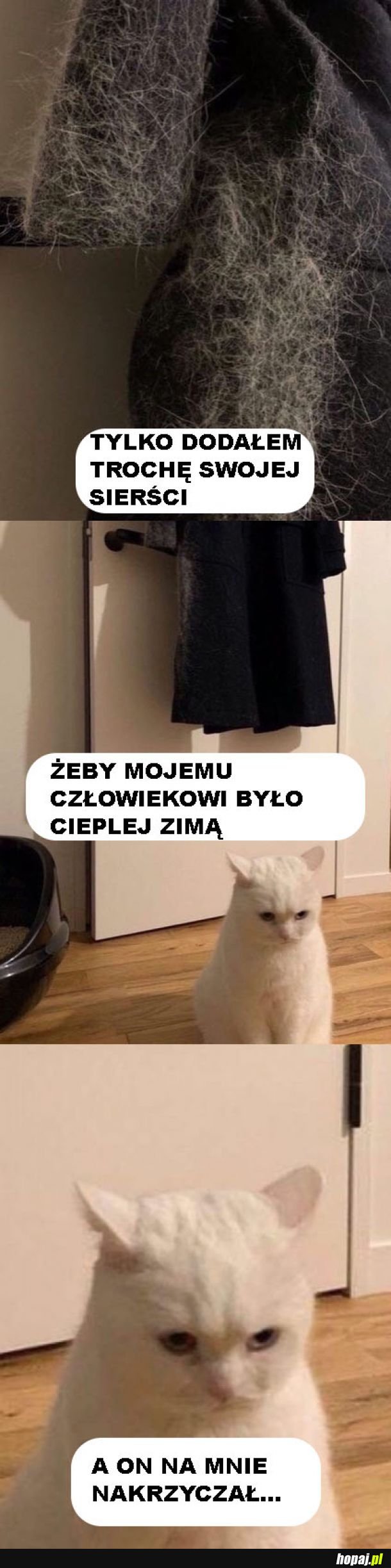 Kitku chciał pomóc