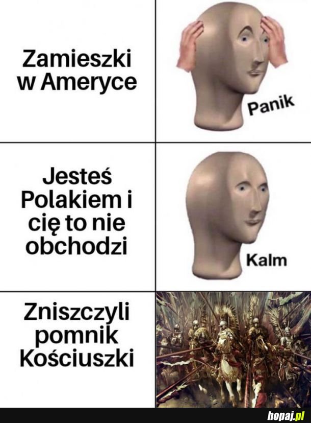 Zamieszki w Ameryce