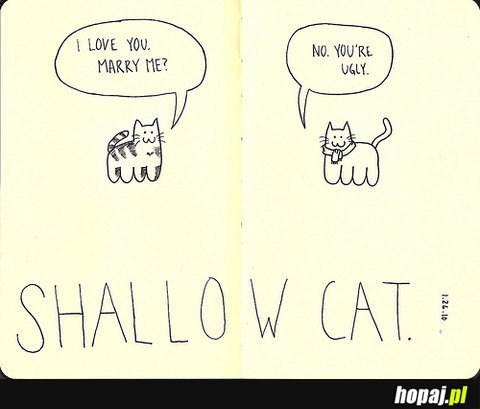 Shallow Cat