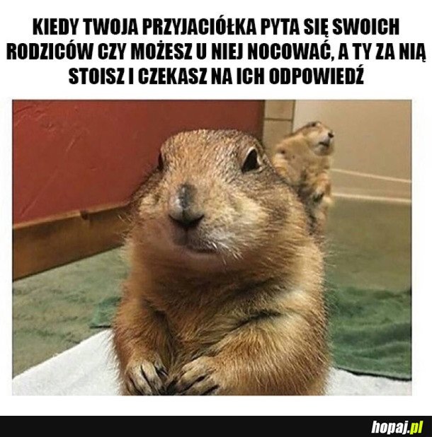 NOCOWANIE U PRZYJACIÓŁKI