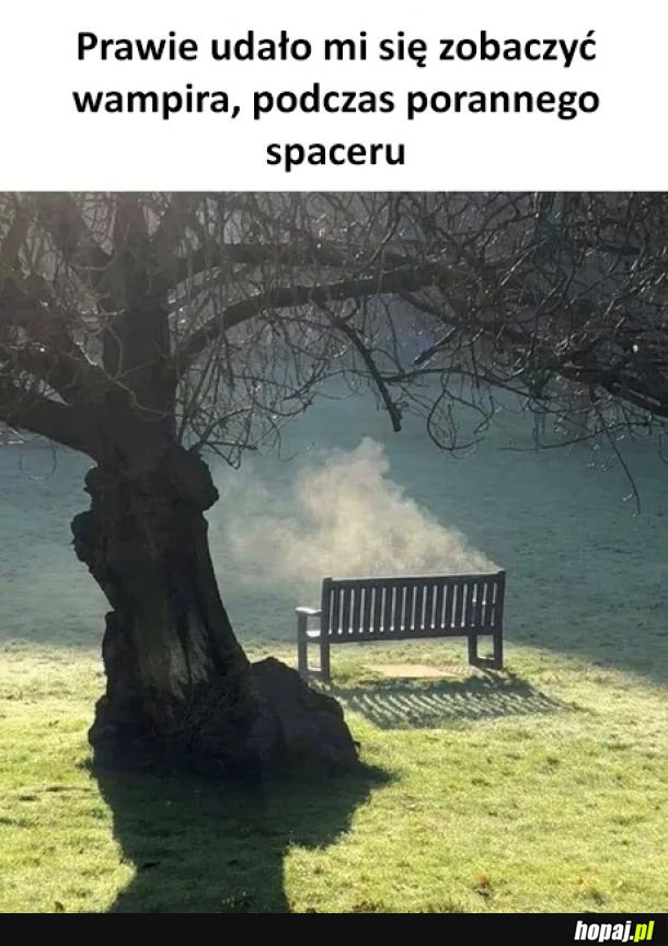 Niestety, ulotnił się...