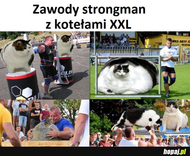 Zawody strongman z kotełami XXL