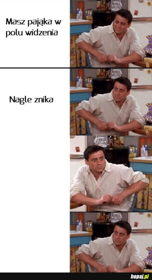 Pająk