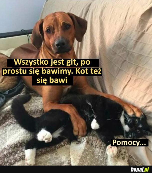 Oni tylko się bawią