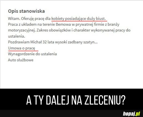 Dalej na umowie zleceniu?