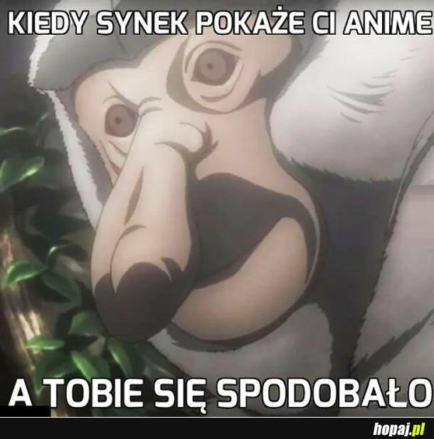 Mój stary jest fanatykiem anime...