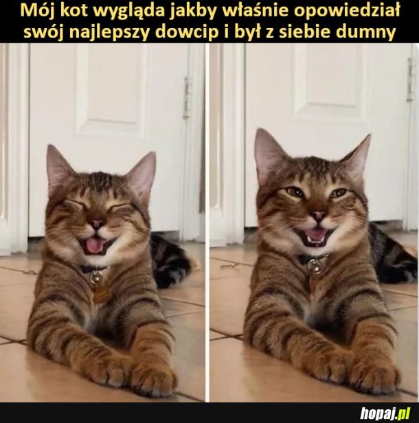 Ale zaciesz