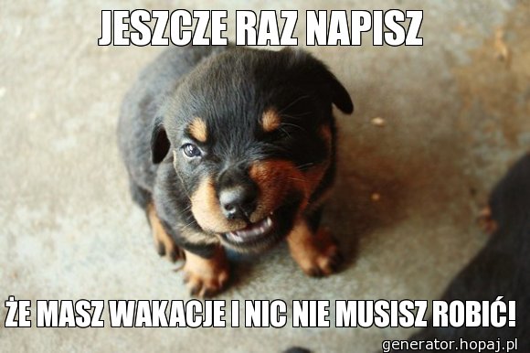 Jeszcze raz napisz, że masz wakacje