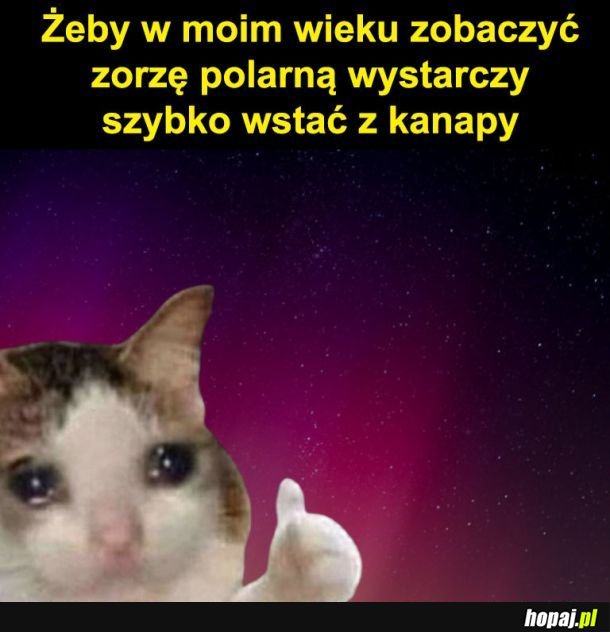 Zorza polarna