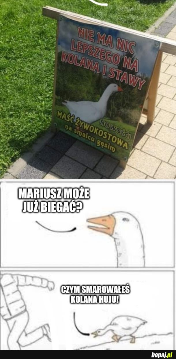 Maść