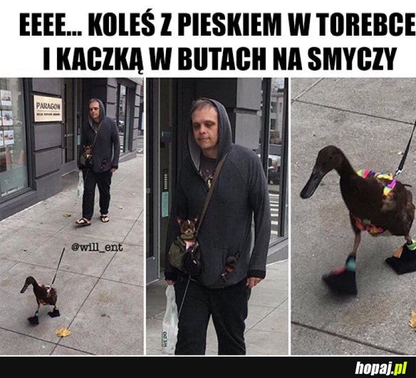EKSCENTRYZM POZIOM 9000