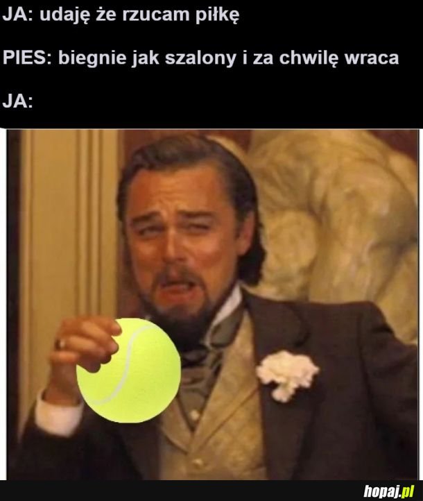 Pies i piłka