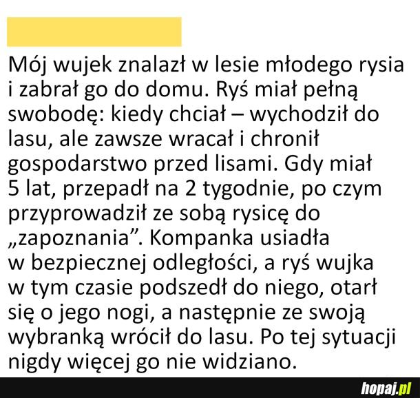 Nietypowe zwierze domowe