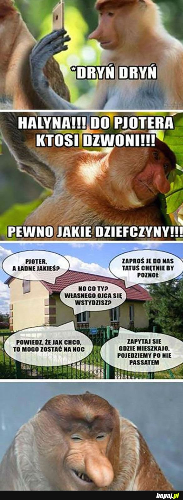 Kiedy do Pjotera dzwonią pannice...