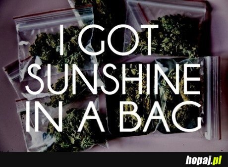 I got sunshine in a bag!