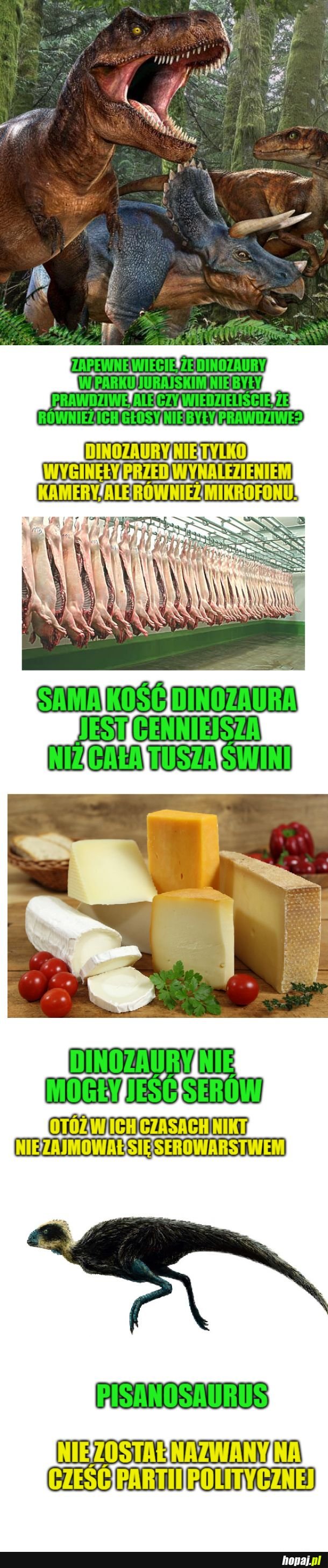 Ciekawostki o dinozaurach 