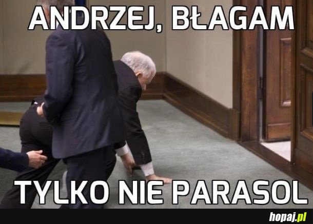 Andrzej, błagam