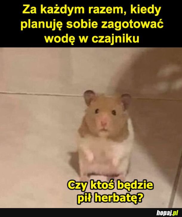 Chce ktoś?