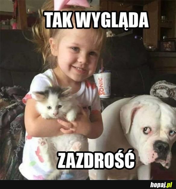 Psia zazdrość