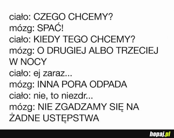 Mój mózg