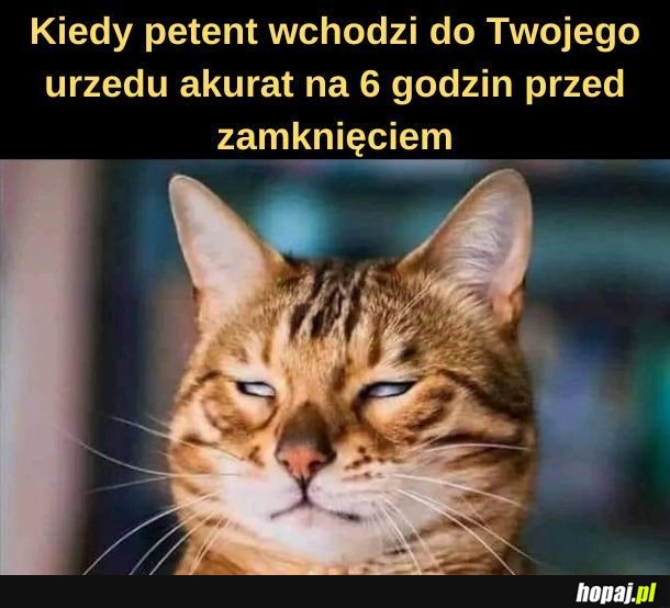 Urząd