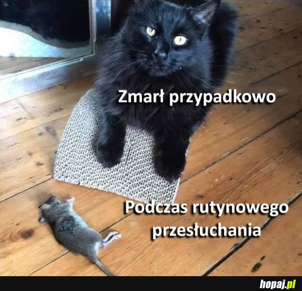 To był wypadek