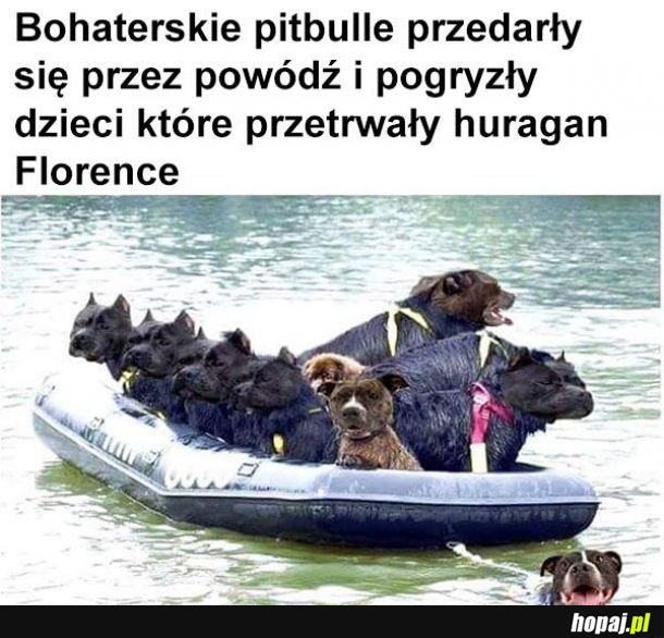 Tak było