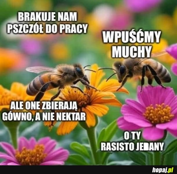Mylenie Racjonalizmu z rasizmem
