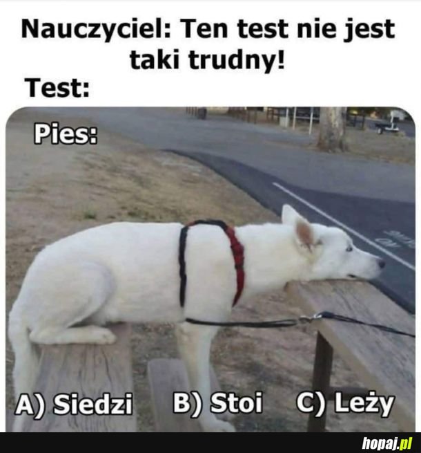 Test