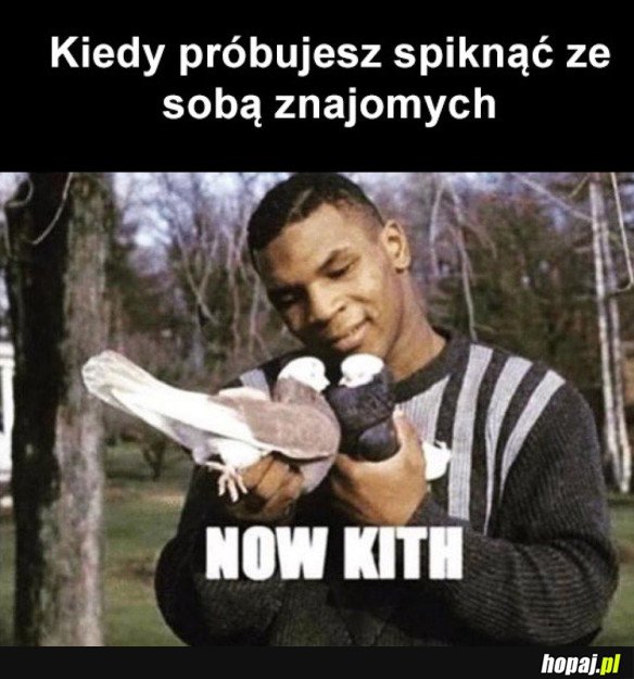 TAK TO WYGLĄDA