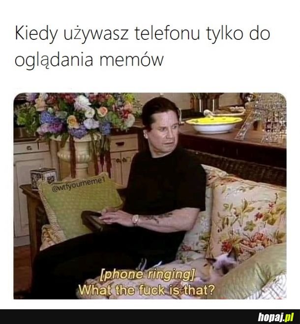 Co to za dziwne dźwięki?