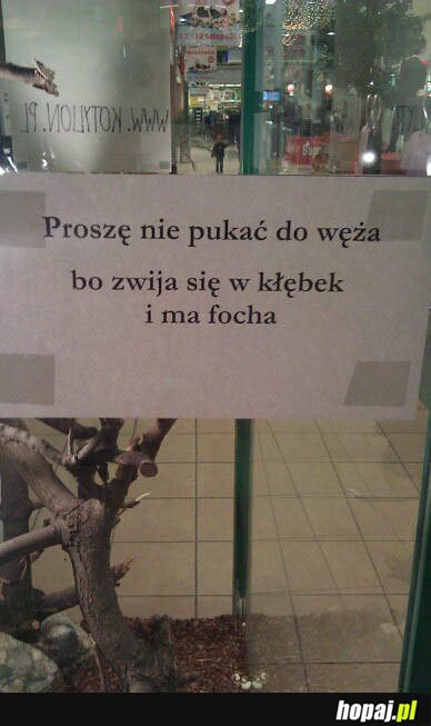 Proszę nie pukać do węża