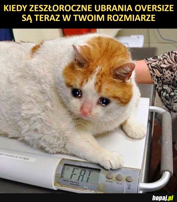 Jak do tego doszło