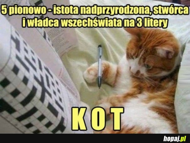 KRZYŻÓWECZKA