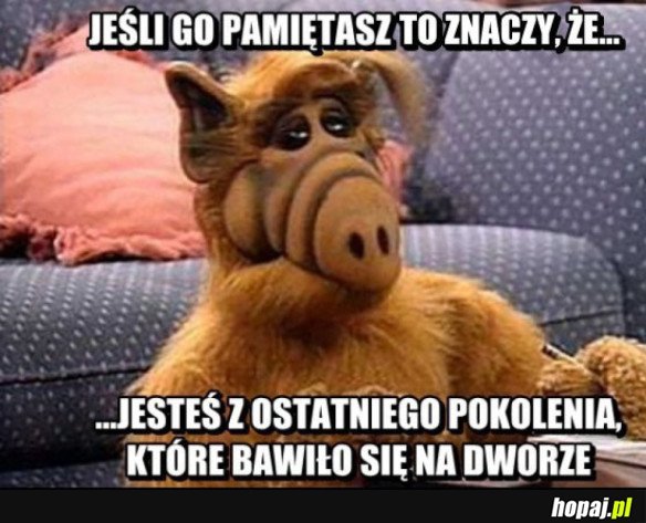 KTO OGLĄDAŁ?