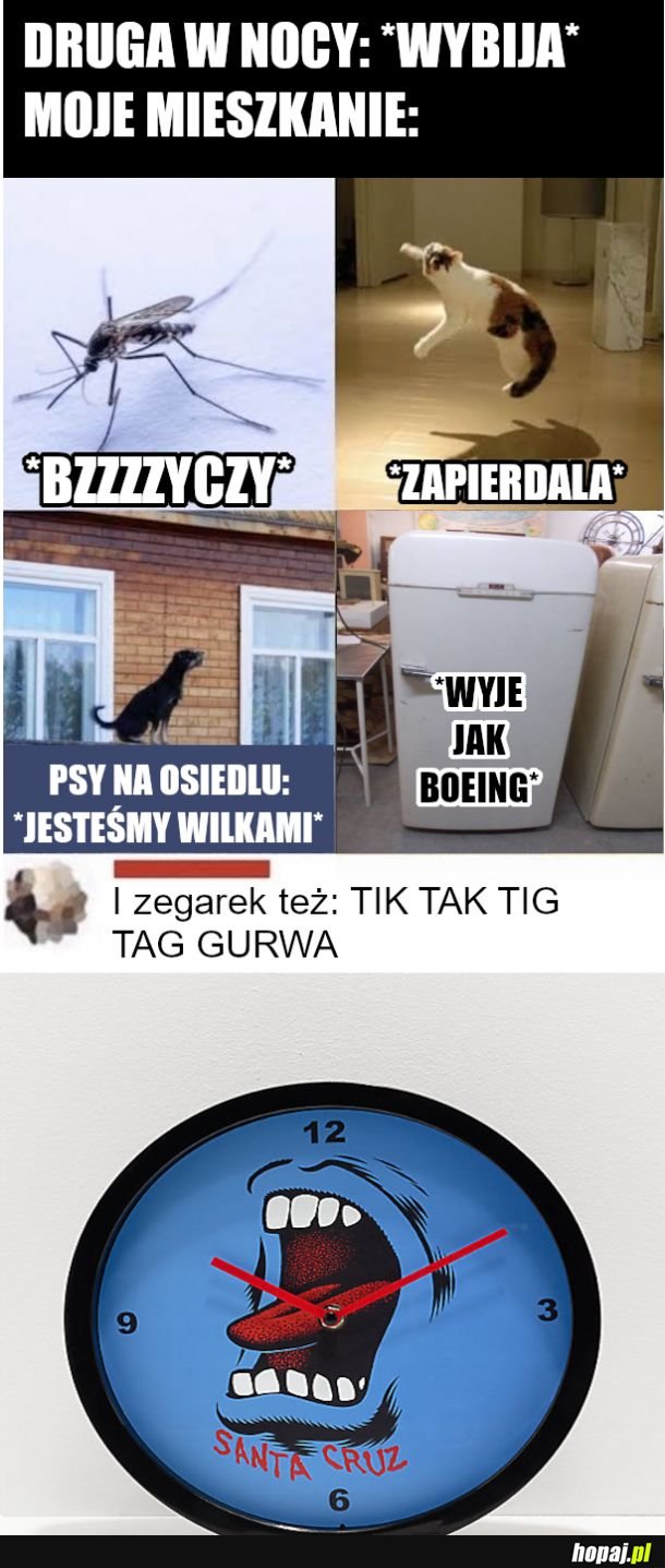 Dźwięki nocy