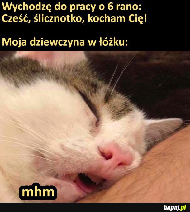 Ślicznotka