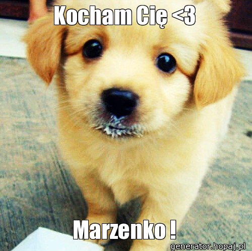 Kocham Cię <3