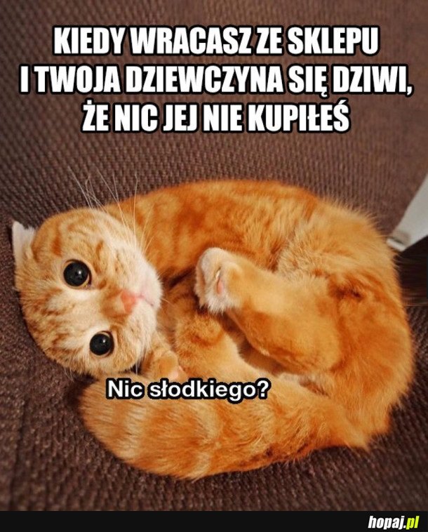 NIC SŁODKIEGO